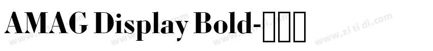AMAG Display Bold字体转换